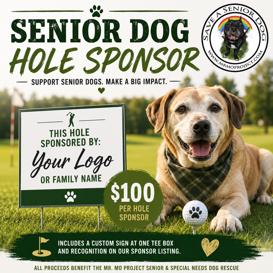 Image of HOLE SPONSOR