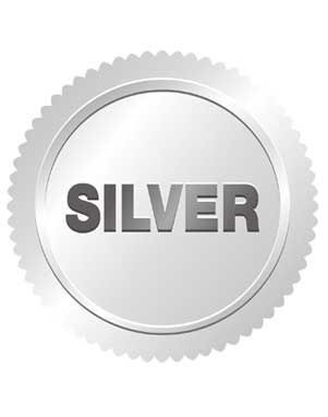 Image of Silver Sponsorship 
