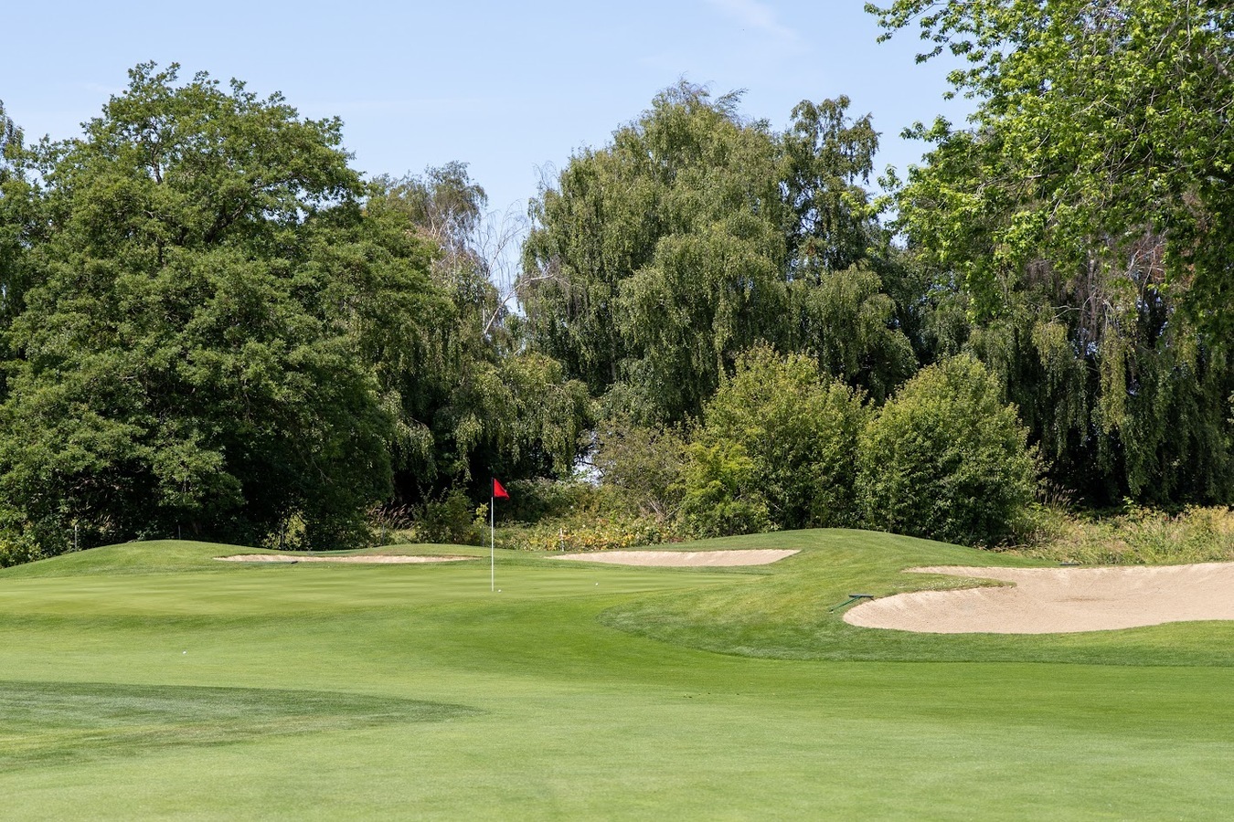 Image of SPONSOR: PAR - 7.5K plus bring two (2) $25 gift cards
