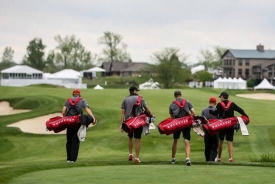 Image of Team Golf Package Number 1: Birdie Package