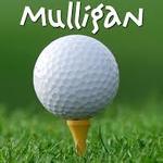 Image of Add-On Player Option 1- Pair of Mulligans