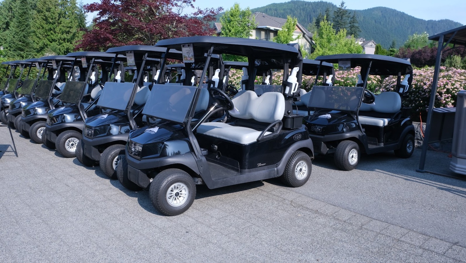 Image of SPONSOR: GOLF CARTS (4 golfers included)
