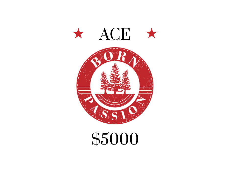 Chip'n for Charity - Default Image of ACE Sponsorship