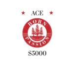Image of ACE Sponsorship