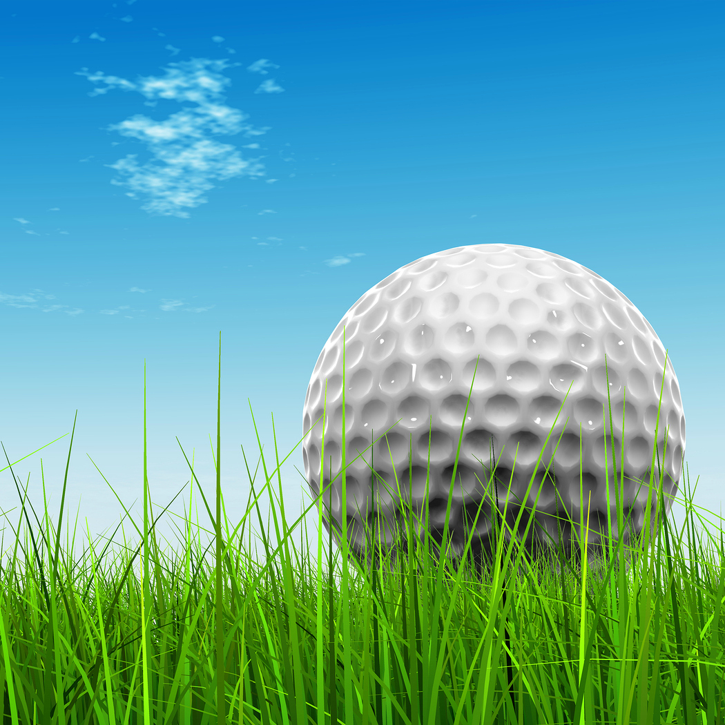 Secure One Capital Wholesale Charity Golf Classic benefiting Caterina's Club - Default Image of The Ytel Million Dollar Shot (5.00 per chance)