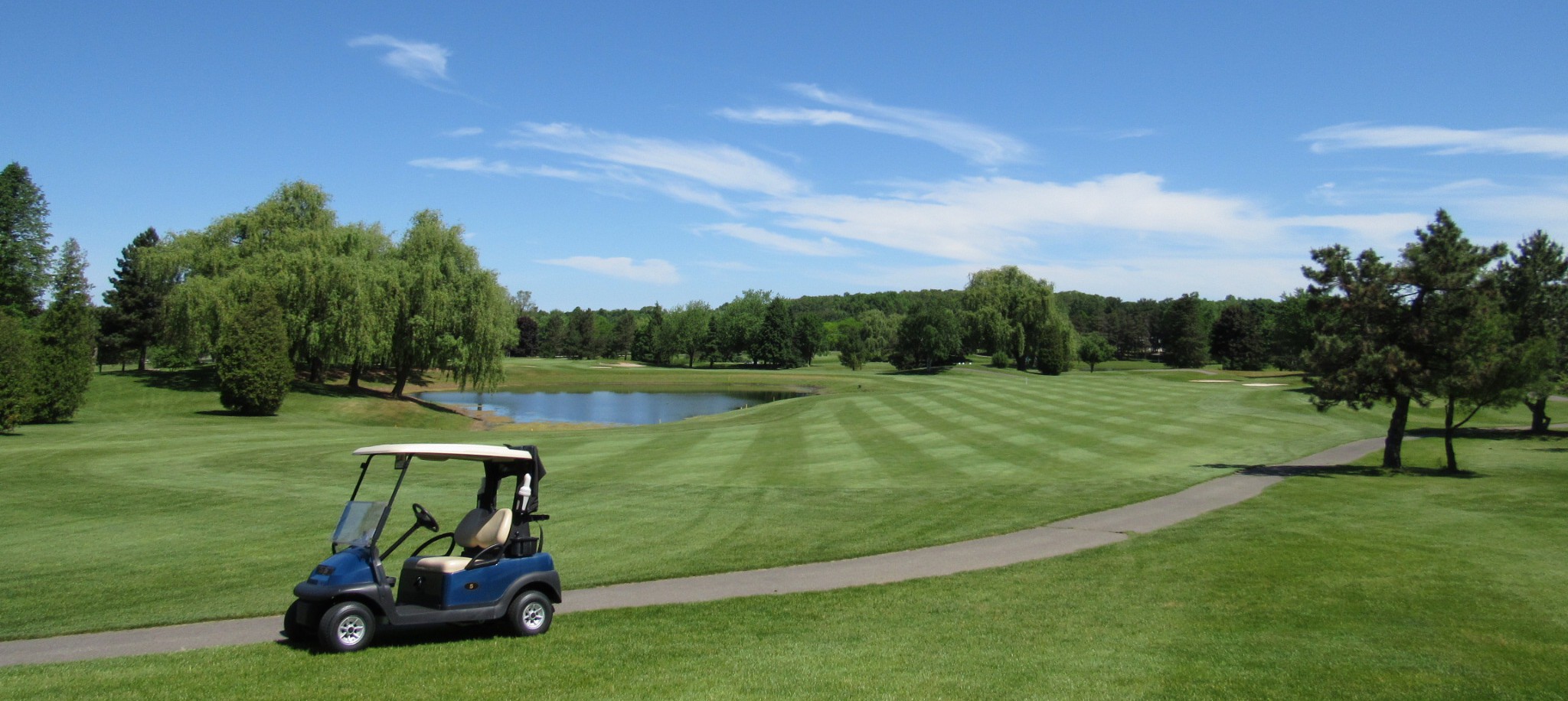 22nd Annual DEBRA Canada Charity Golf Classic - Default Image of Golf Cart Sponsor