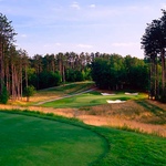 Image of Gold Community Sponsor