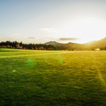 Image of Gold Sponsor 