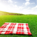 Image of Lunch Sponsor 