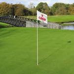 Image of Pin-Flag Sponsor