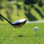 Image of $5,000 Presenting Sponsor