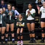 Image of PUTTING CONTEST SPONSOR