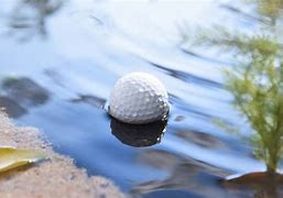 Back in Black Tournament - Default Image of What Water Ball?