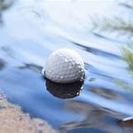 Image of What Water Ball?