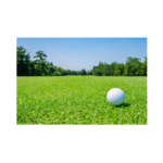 Image of Games/Mulligans