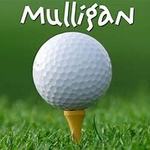 Image of 4 Mulligans for $20