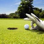 Image of BIRDIE PARTNERSHIP