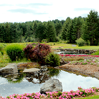 Northwest Carpenters Union Annual Scholarship Endowment Golf Tournament - Default Image of Golf Cart Sponsorship