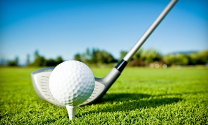 The Palace Saloon Charity Golf Classic - Default Image of Individual Mulligans