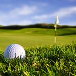 Image of Golf Cart Sponsor