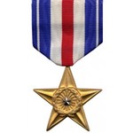 Image of Silver Star Sponsor