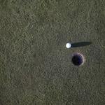 Image of Golf Cup Inserts