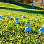 Image of Toilet Bowl Golf Ball Drop
