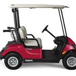 Image of Golf Cart Sponsor