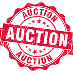 Image of Auction/Raffle Sponsor