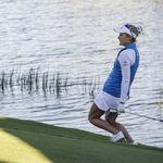 Image of Chip Contest