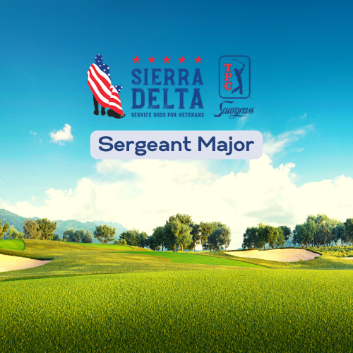 Sierra Delta Annual Charity Golf Tournament - Default Image of Sergeant Major