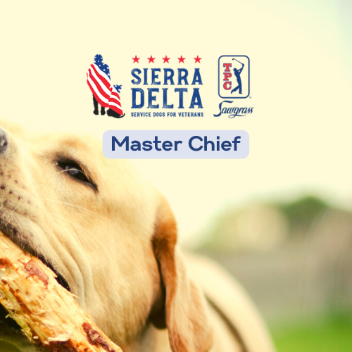 Sierra Delta Annual Charity Golf Tournament - Default Image of Master Chief