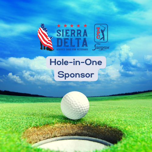 Sierra Delta Annual Charity Golf Tournament - Default Image of Hole-In-One