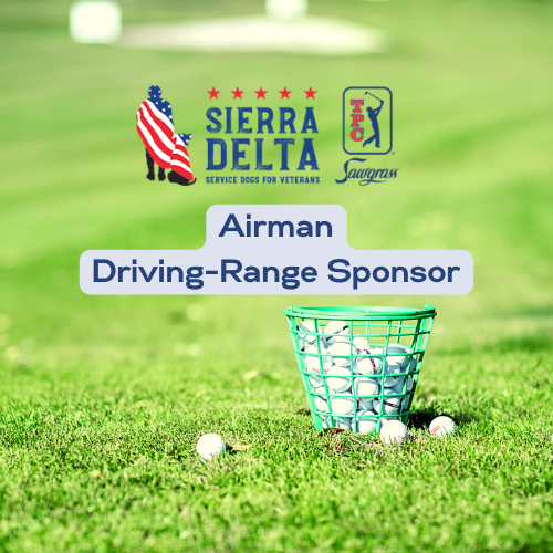Sierra Delta Annual Charity Golf Tournament - Default Image of Airman Driving Range Sponsorship