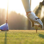 Image of Gold Sponsor 