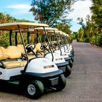 Image of Golf Cart Sponsor