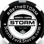 Image of 4 STORMCHIPS