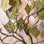 Image of Lottery Tree Sponsor