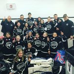 Image of SPONSOR A NYS TEAM