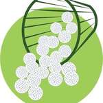 Image of DRIVING RANGE SPONSOR