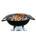 Image of Lunch Sponsor