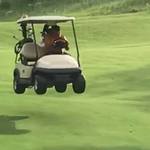 Image of Cart Sponsorship