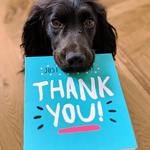 Image of Donation Only