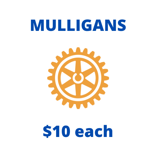 2022 GTO Fundraiser - Default Image of Mulligans