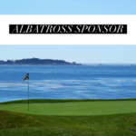 Image of Albatross Sponsor