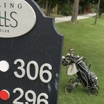 Image of Donation - $60