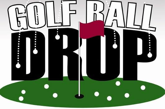 31st Annual Buffalo Grove Lincolnshire Golf Outing - Default Image of Ball Drop Entry
