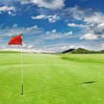 Image of PIN FLAG SPONSOR 