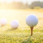 Image of Hole Sponsor