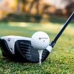 Image of Platinum Sponsor